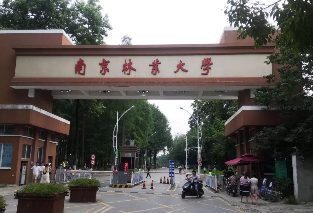 南京林業大學